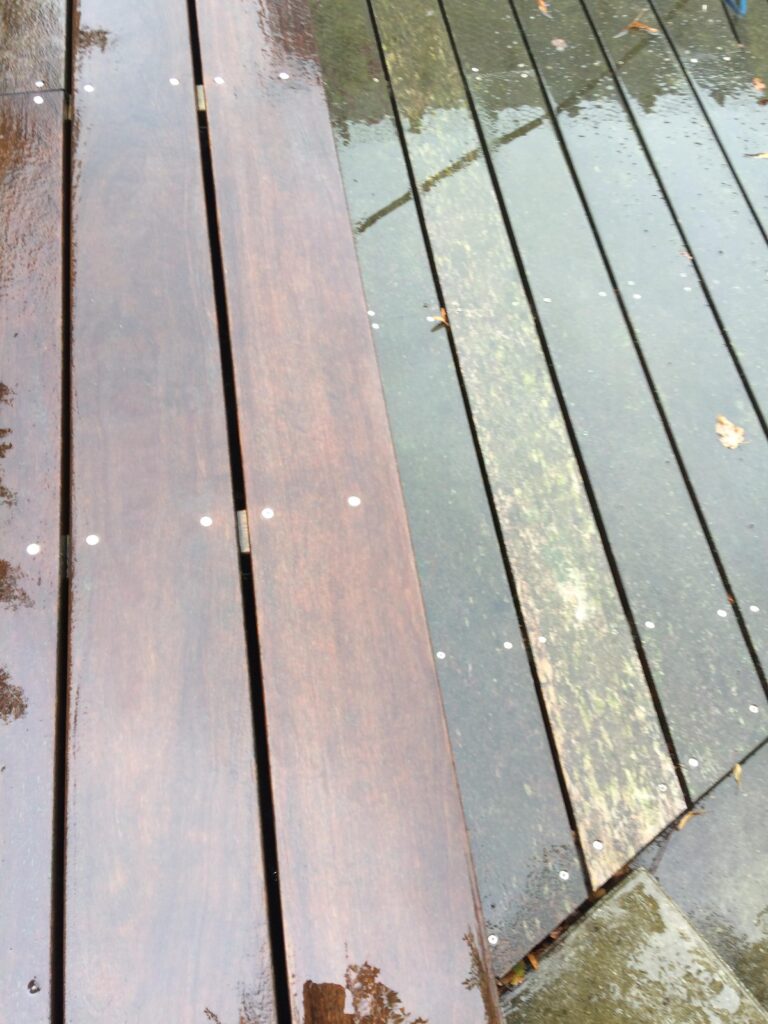 159596121_2920167758303505_3773971115757692940_n-768×1024